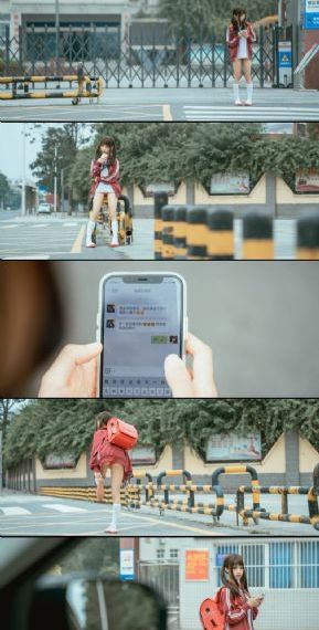 金粉蝶